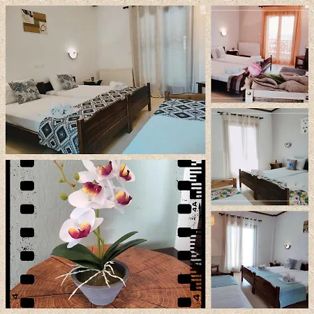 Alexandra * נאה רודה