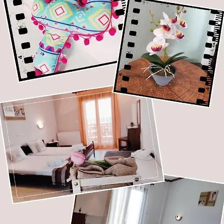 Alexandra נאה רודה