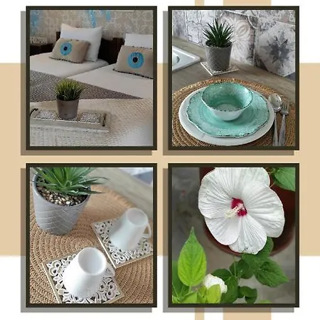 Alexandra נאה רודה