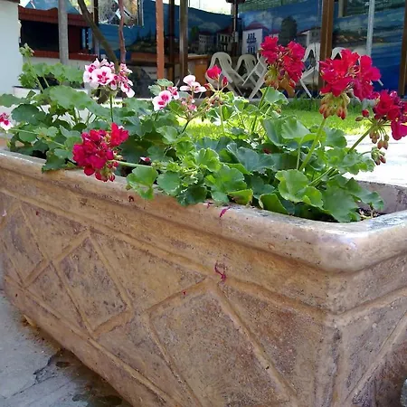 Alexandra Aparthotel *