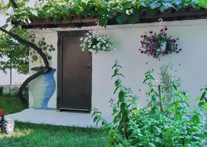 亚历山德拉公寓式酒店 公寓式酒店 *