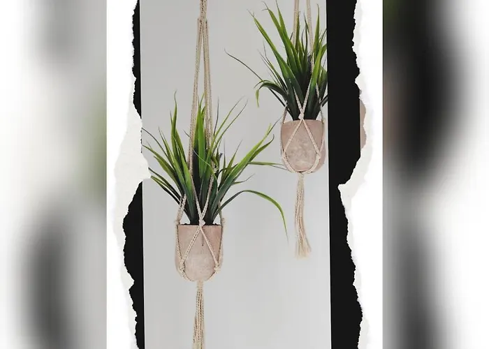 亚历山德拉公寓式酒店 * 依诺罗达