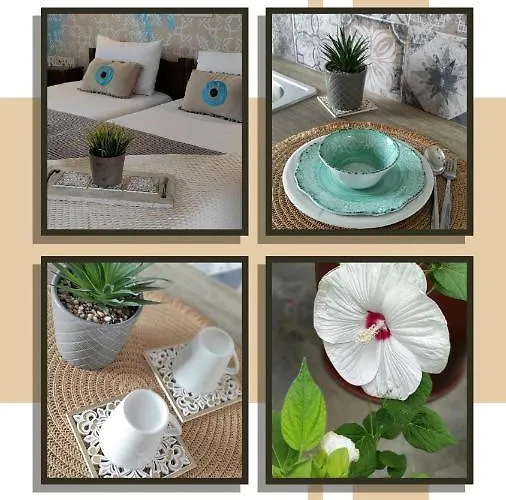 亚历山德拉公寓式酒店 依诺罗达