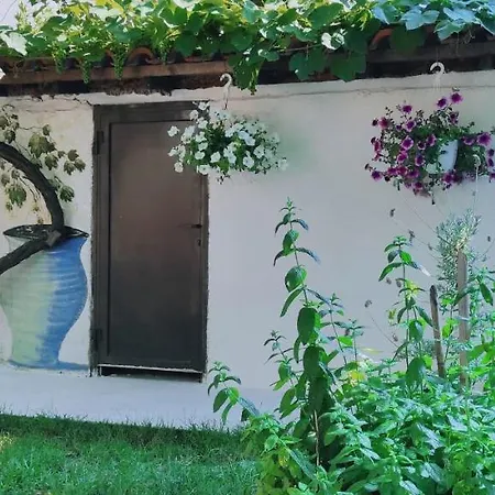 Alexandra شقة فندقية *